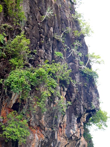 Ko Hong wall